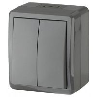 Выключатель накладной Эра Эксперт 2-кл. IP54 серый картинка